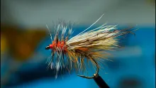 Video thumb for Irish Lough Style Stimulator