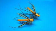 Video thumb for Orange Bodied Daddy Long Legs