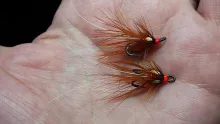 Video thumb for Summer Franicis Shrimp