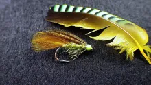Video thumb for Olive Irish Ace of Spades