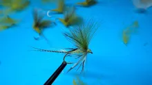 Video thumb for CDC French Partridge Mayfly