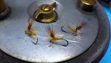 Video thumb for Small Dark Olive Parachute