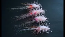 Video thumb for Creeper Shrimp