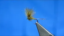Video thumb for CDC Spring Dun