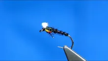 Video thumb for Early Season Midge Pupa