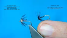 Video thumb for Two Spider/Soft Hackle Wets