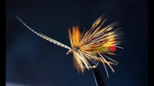 Video thumb for Green Peter Detached Bodied Dry Fly